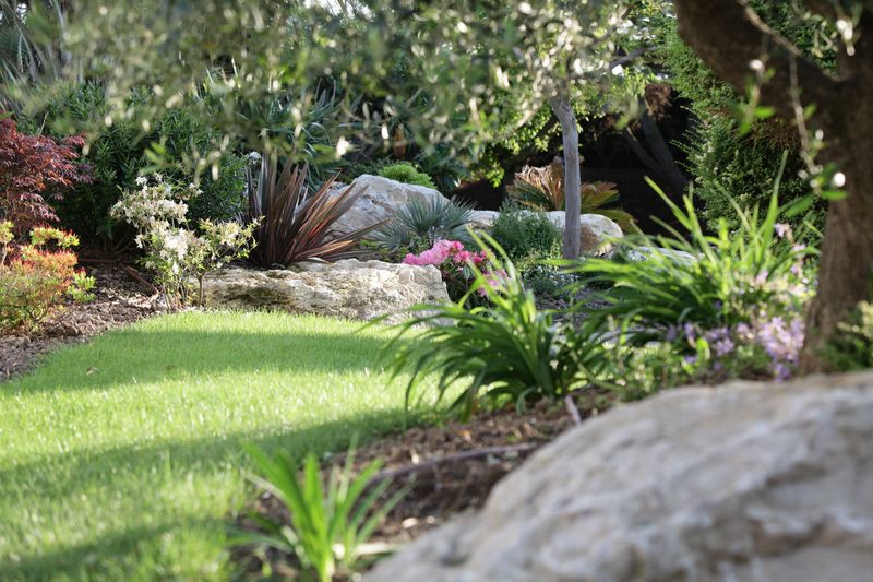 Entretien d'un jardin paysager en Vendée