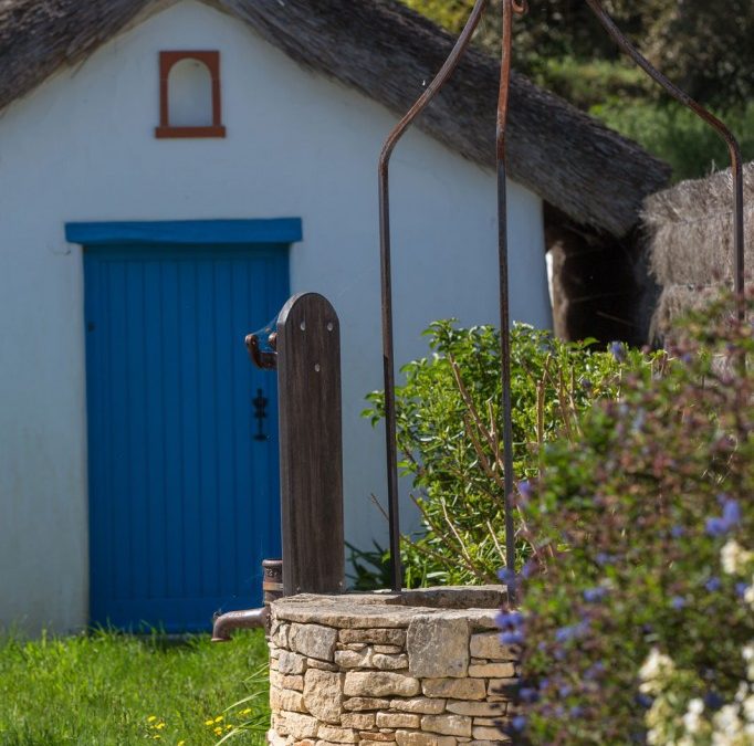 Jardin typique à Saint Jean de Monts (85 – Vendée)