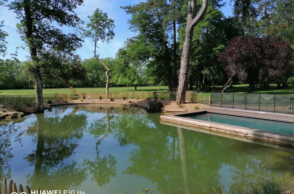 Piscine naturelle dans un étang et jardin paysager