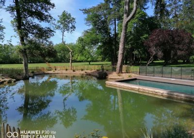 Piscine naturelle dans un étang et jardin paysager