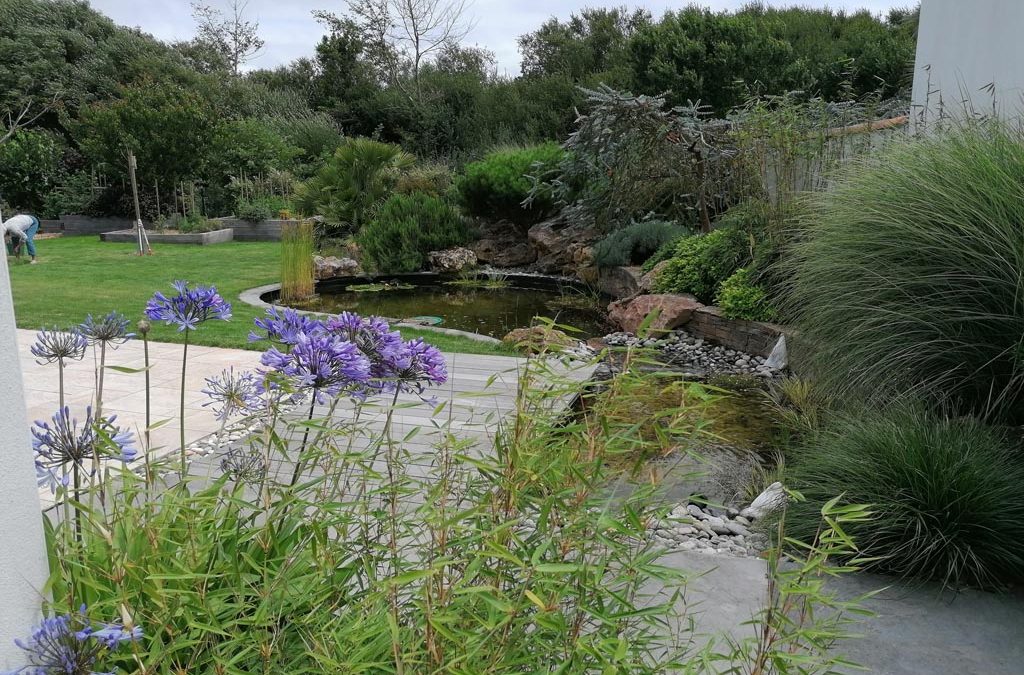 Allée pavée, jardin aménagé et bassin