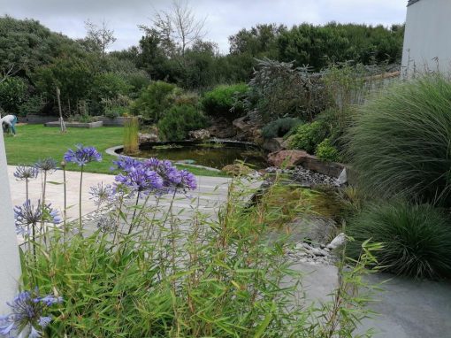 Allée pavée, jardin aménagé et bassin